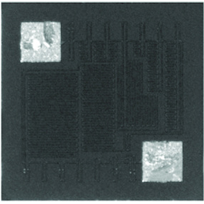 Vishay-SFM2000BFMANHWS Montaggio del resistore su superficie singola fissa Res Thin Film 0202 20 Ohm 1% 0.25W(1/4W) ±250ppm/°C Pad SMD Waffle