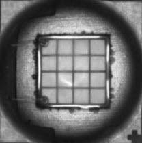 NIC Components-NUVA33R365TRF LED LED Uni-Color Ultraviolet 370nm 2-Pin T/R