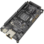 MCXE31B Microcontroller Evaluation Platform 160MHz CPU 512KB RAM 4MB Flash/QSPI Flash Linux Ubuntu/Mac OS X/Win 10/Win 11