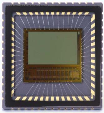 onsemi-NOIV1SN2000A-QDC 影像传感器 Image Sensor Monochrome CMOS 1920x1200Pixels 52-Pin LCC Tray