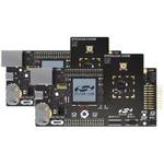 EFR32MG24B210F1536IM48 Combo Wireless Module Development Kit