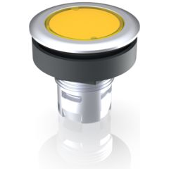 RAFI GmbH & Co. KG-1.65.126.011/1400 Schalterzubehör Switch Access Round Operator Pilot Light Switch Box