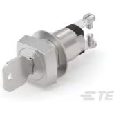 TE Connectivity-2SKF132AEL01 Switch KeyLock Switch Key Lock OFF ON SPST 90° Flat Key 1A 120VAC Screw Panel Mount