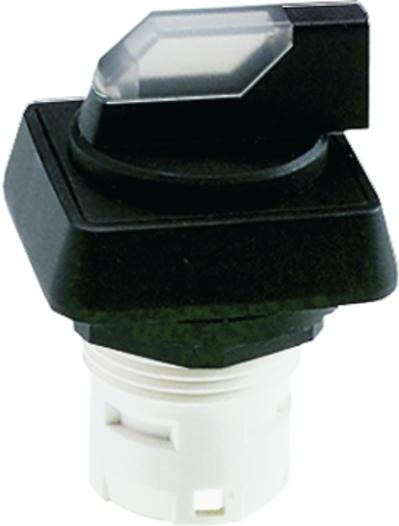 RAFI GmbH & Co. KG-1.30.073.601/2000 Schalterzubehör Switch Access Square Operator Selector Switch Box