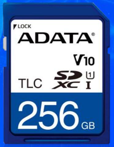 ADATA Technology Co., Ltd-ISDD33K-128GR Schede flash Flash Card 128G-byte 3.3V SDXC Card 9-Pin Tray