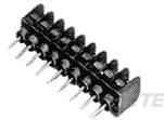 TE Connectivity-SSB6FP100202NNNN Steckverbinder, Klemmenblöcke Conn Barrier Strip 10 POS 9.53mm Solder ST Thru-Hole