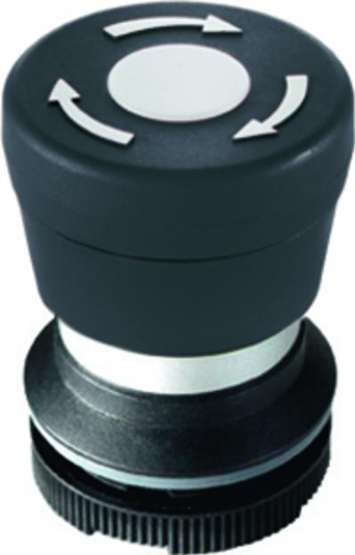RAFI GmbH & Co. KG-1.30.276.001/2200 Schalterzubehör Switch Access Round Mushroom Operator Emergency Stop Switch Box