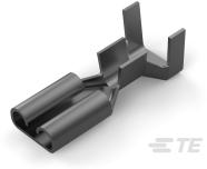 60487-2|TE|originalImage