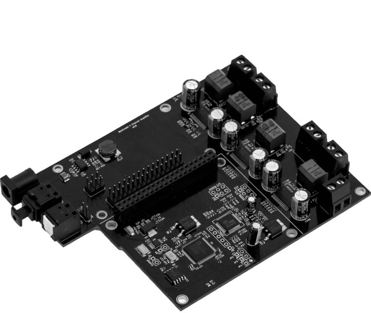 HiFiBerry LLC-4260439550521 Placas y kits de desarrollo para Amplificador IC Audio Amplifier Expansion Board