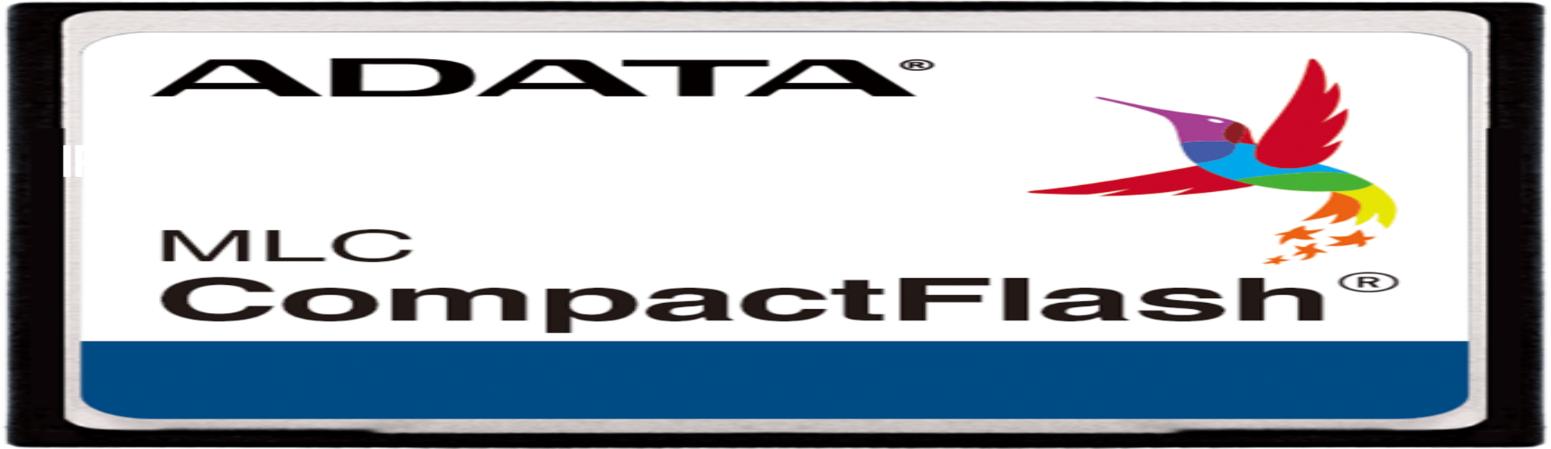 ADATA Technology Co., Ltd-IPC17-512MF Schede flash Flash Card 512M-byte 3.3V CompactFlash 50-Pin