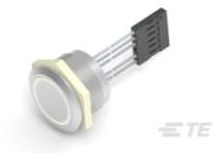 TE Connectivity-2342836-2 Interruttore a pressione Anti-Vandal Illuminated Capacitive Switch