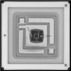 NIC Components-NUVC66DW278TRF LED LED Uni-Color Ultraviolet 278nm 2-Pin T/R