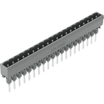 Male connector for rail-mount Terminal Blocks, 1.2 x 1.2 mm pins, straight, Pin spacing 5 mm, 20-pole