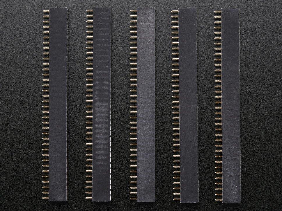 Adafruit Industries-598 Steckverbinderleisten und Leiterplattenbuchsen Conn Socket Strip SKT 36 POS 2.54mm Solder ST Top Entry Thru-Hole