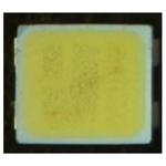 LED Uni-Color White 4-Pin PLCC T/R