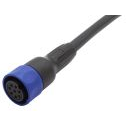 Bulgin Limited-PXP4000/002/12S null Cable Assembly Circular 2m 22-24AWG Circular 12Power Straight
