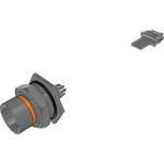 Cable Assembly Circular 0.5m 24AWG M12 Circular 4 Straight Bulk