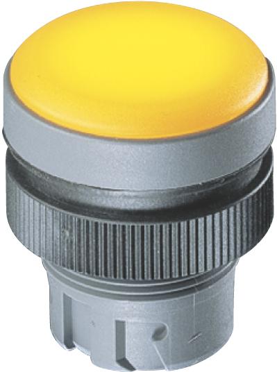 RAFI GmbH & Co. KG-1.74.505.501/1000 Accessoires de commutateur Switch Access Round Operator Pilot Light Switch Box