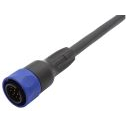 Bulgin Components PLC-PXP4000/001/12P null Cable Assembly Circular 1m 22-24AWG Circular 12Power Straight