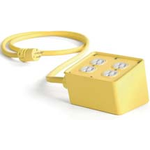 Power Distribution 12/3 SOW 7.62m 2 POS Power to 2 POS Power M-F Carton