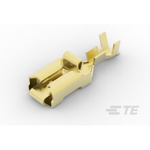 Terminals SKT Crimp ST Cable Mount T/R