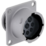 Conn Circular PIN 8 POS Crimp/Screw ST Flange Mount 8 Terminal 1 Port