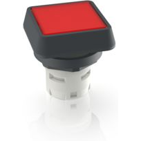 RAFI GmbH & Co. KG-1.30.070.001/1306 Schalterzubehör Switch Access Square Operator Push Button Switch Box