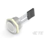 Anti-Vandal Illuminated Capacitive Switch