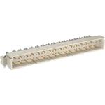 Conn Backplane M 32 POS 2.54mm Solder RA Thru-Hole