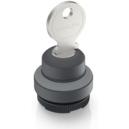RAFI GmbH & Co. KG-1.30.275.221/0800 Schalterzubehör Switch Access Round Operator Keylock Switch Box
