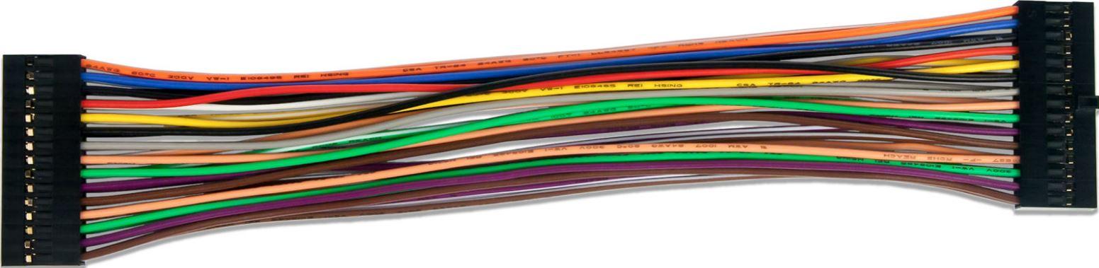 Digilent-310-100 Cable Assembly 0.196m 30 to 30 POS Wire to Board to Wire to Board F-F Bag