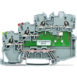 200053171101951|WAGO|limage