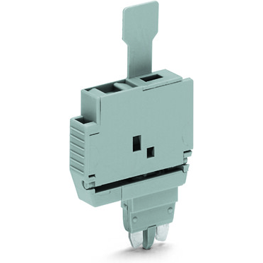 WAGO-2004-911 Fuse Accessories Fuse Plug with Pull-Tab, for miniature metric fuses 5 x 20 mm and 5 x 25 mm, 6 mm wide