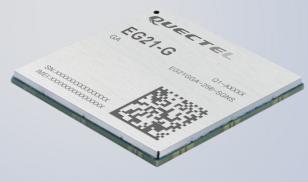Quectel Wireless Solutions Co., Ltd-EG21GGB-128-SGNS Zelluläre Module CAT 1/LTE Cellular Module 850MHz/900MHz/1800MHz/1900MHz M2M LGA Module