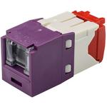 Cat 5e Spring Shuttered Jack, TG Style, VL