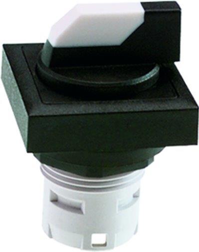 RAFI GmbH & Co. KG-1.30.073.640/0200 Schalterzubehör Switch Access Square Operator Selector Switch Box