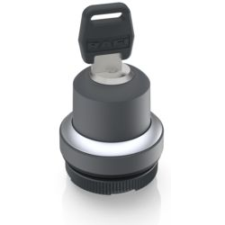 RAFI GmbH & Co. KG-1.30.255.002/0000 Schalterzubehör Switch Access Round Operator Keylock Switch Box