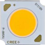 LED Uni-Color White 2-Pin COB Tray