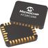 AT28C25620LM883|MICROCHP|simage