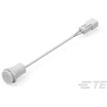 Push Button Switches, Switch, 1 Actuator, Flush Actuator Profile, Threaded, Illuminated, Process Sealed, Tactile