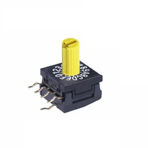 NKK Switches-FR01KC16H-S Switch DIP Switch DIP N.O./N.C. SP16T 16 Shaft 0.1A 5VDC PC Pins 625Cycles Thru-Hole Tube