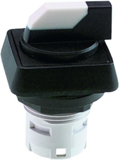 RAFI GmbH & Co. KG-1.30.073.500/0200 Schalterzubehör Switch Access Square Operator Selector Switch Box