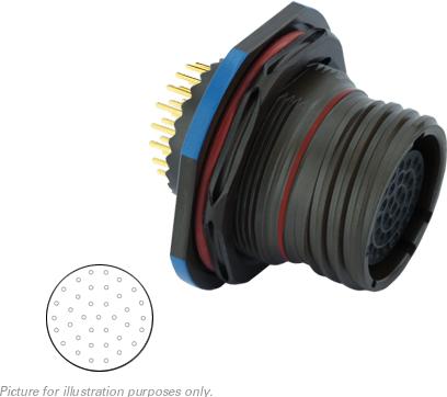 SOURIAU-8D7C15Z35SB Connettore circolare Conn Circular SKT 37 POS Solder ST Jam Nut 37 Terminal 1 Port