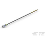 Push Button Switches