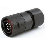 Conn Circular PIN 12 POS Solder ST Cable Mount 12 Terminal 1 Port