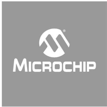 Microchip Technology-MIC33M656-SAYMP-TR 直流-直流转换器和开关式调节器模块 Module DC-DC 1-OUT 1V 6A 53-Pin B1QFN EP T/R