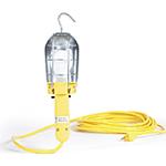 A21 Incandescent Lamp