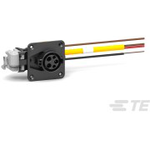 Electric Hybrid and Fuel Cell Cable Assemblies HV,CHARGE INLET TYPE1,HYB ASSY