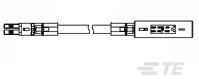 TE Connectivity-1-2083029-2 Cable Assembly AC Power Cable Assembly 1m Power to Power 2 to 2 POS F-M 18AWG