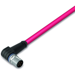 Sercos Cable, Angled, 2 m, fitted on one End, D-coded, M12 socket, Angled, one free Cable End